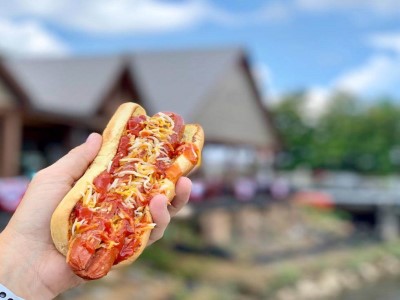 Things To Do HAPPY BEAR CAFE